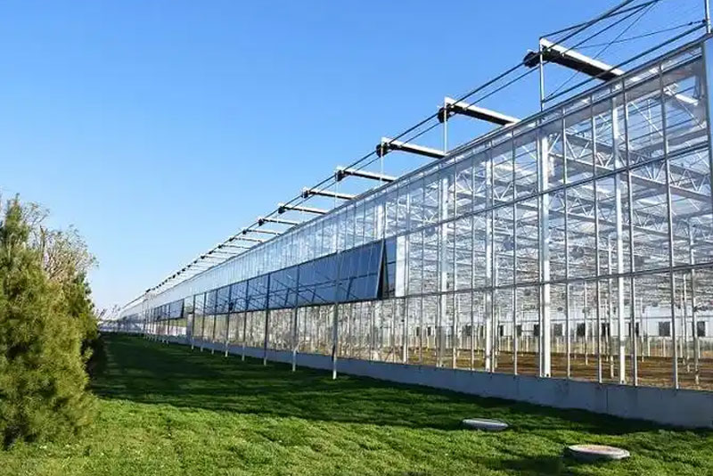 連棟溫室的使用事項有哪些？